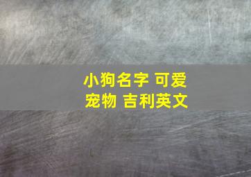 小狗名字 可爱 宠物 吉利英文